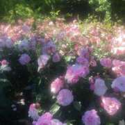 ヒメ日記 2025/09/19 13:09 投稿 れな デリバリーヘルス熊本インターちゃんこ