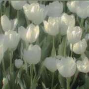 ヒメ日記 2025/09/20 14:39 投稿 れな デリバリーヘルス熊本インターちゃんこ