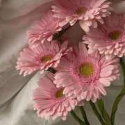 ヒメ日記 2025/09/20 22:59 投稿 れな デリバリーヘルス熊本インターちゃんこ