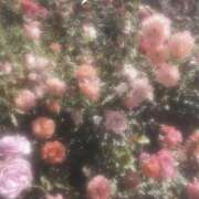 ヒメ日記 2025/10/02 16:19 投稿 れな デリバリーヘルス熊本インターちゃんこ