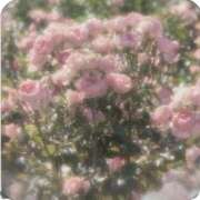 ヒメ日記 2025/10/31 07:19 投稿 れな デリバリーヘルス熊本インターちゃんこ