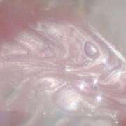 ヒメ日記 2025/10/31 18:49 投稿 れな デリバリーヘルス熊本インターちゃんこ