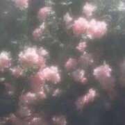 ヒメ日記 2026/01/23 09:19 投稿 れな デリバリーヘルス熊本インターちゃんこ