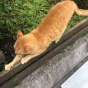 ヒメ日記 2025/07/11 10:47 投稿 みき おいらん(池袋)