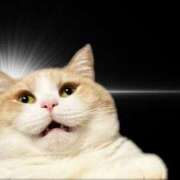 ヒメ日記 2025/09/11 15:06 投稿 みき おいらん(池袋)