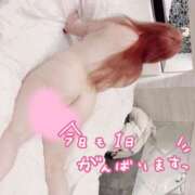 ヒメ日記 2025/01/30 10:03 投稿 ナツ【FG系列】 デリぽちゃin松戸（FG系列）