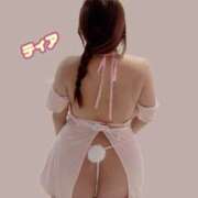 ヒメ日記 2025/02/15 08:08 投稿 ティア ちゃんこ本厚木店