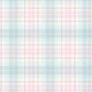 にじほ 🗓️ PLEASURE