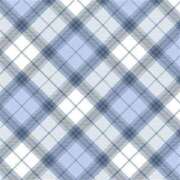 ヒメ日記 2026/01/31 08:09 投稿 にじほ PLEASURE