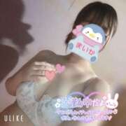 ヒメ日記 2025/02/10 13:46 投稿 まいか 丸妻 横浜本店