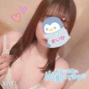 ヒメ日記 2025/03/04 13:30 投稿 まいか 丸妻 横浜本店