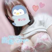 ヒメ日記 2025/03/25 14:36 投稿 まいか 丸妻 横浜本店