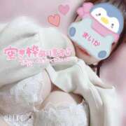 ヒメ日記 2025/03/31 10:00 投稿 まいか 丸妻 横浜本店