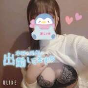 ヒメ日記 2025/04/15 14:29 投稿 まいか 丸妻 横浜本店