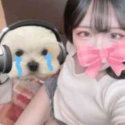 ヒメ日記 2025/05/14 13:57 投稿 かおる Lady Agent