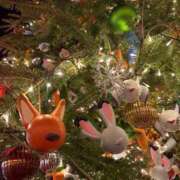 ヒメ日記 2025/12/12 22:17 投稿 もも 人妻の雫　福山店