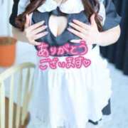 ヒメ日記 2026/02/20 10:20 投稿 もも 人妻の雫　福山店