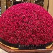 ヒメ日記 2025/12/24 21:25 投稿 つむぎ 大宮人妻デリヘル～大人の事情～