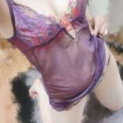 ヒメ日記 2025/02/03 19:36 投稿 SUNAO Salvador (サルバドール)