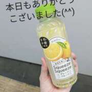 ヒメ日記 2025/06/28 00:24 投稿 池田 トワレ-Toilette-