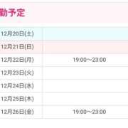 ヒメ日記 2025/12/20 12:10 投稿 池田 トワレ-Toilette-