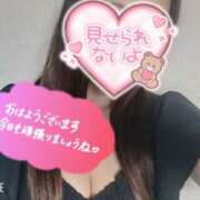 ヒメ日記 2025/06/13 08:59 投稿 のあ メイドde本舗