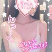 ヒメ日記 2025/10/17 10:00 投稿 のあ メイドde本舗