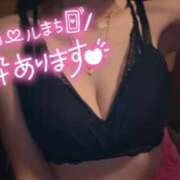 ヒメ日記 2026/02/24 09:58 投稿 のあ メイドde本舗