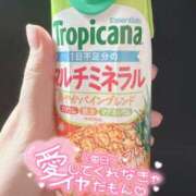 ヒメ日記 2026/01/20 14:00 投稿 のあ 夜這い本舗