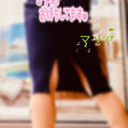 ヒメ日記 2025/11/07 08:30 投稿 マリヤ ロダン