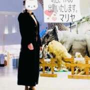 ヒメ日記 2025/11/20 18:30 投稿 マリヤ ロダン