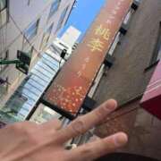 ヒメ日記 2025/04/05 00:40 投稿 まいか 桃李（とうり）