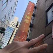 ヒメ日記 2025/04/08 17:12 投稿 まいか 桃李（とうり）