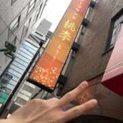 ヒメ日記 2025/05/20 00:14 投稿 まいか 桃李（とうり）