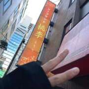 ヒメ日記 2025/06/16 00:24 投稿 まいか 桃李（とうり）