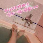 ヒメ日記 2026/01/15 09:04 投稿 まいか 桃李（とうり）