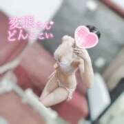 ヒメ日記 2026/02/13 18:12 投稿 うりん 折り紙 ORIGAMI