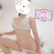 ヒメ日記 2026/02/20 17:18 投稿 うりん 折り紙 ORIGAMI