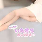 ヒメ日記 2026/07/14 12:42 投稿 うりん 折り紙 ORIGAMI