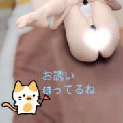 ヒメ日記 2026/08/23 15:39 投稿 うりん 折り紙 ORIGAMI