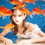 ヒメ日記 2025/12/08 02:03 投稿 みるも シークレットサービス