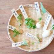 ヒメ日記 2026/01/07 19:02 投稿 神里和希 五十路マダムエクスプレス横浜店（カサブランカグループ）