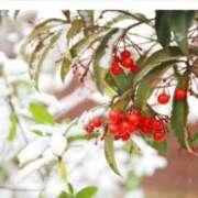 ヒメ日記 2026/01/21 17:48 投稿 神里和希 五十路マダムエクスプレス横浜店（カサブランカグループ）