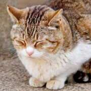 ヒメ日記 2026/02/15 21:02 投稿 神里和希 五十路マダムエクスプレス横浜店（カサブランカグループ）