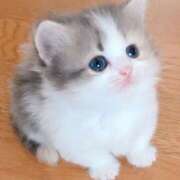 ヒメ日記 2026/02/22 19:10 投稿 神里和希 五十路マダムエクスプレス横浜店（カサブランカグループ）