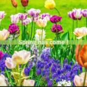 ヒメ日記 2026/04/22 15:04 投稿 神里和希 五十路マダムエクスプレス横浜店（カサブランカグループ）