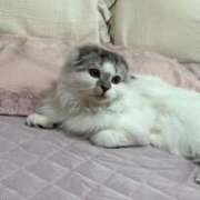 ヒメ日記 2025/05/23 18:04 投稿 たお THE ESUTE HOUSE 柴田