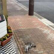 ヒメ日記 2025/05/26 18:20 投稿 たお THE ESUTE HOUSE 柴田