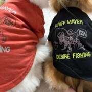 ヒメ日記 2025/06/18 09:10 投稿 たお THE ESUTE HOUSE 柴田