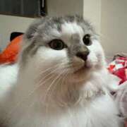 ヒメ日記 2025/06/24 09:10 投稿 たお THE ESUTE HOUSE 柴田